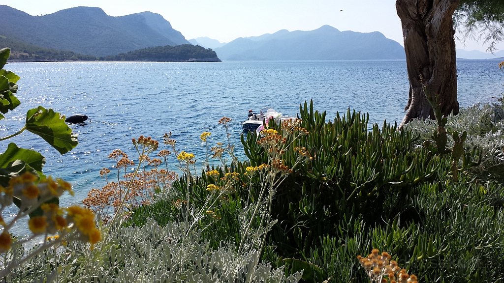 20130705_094652.jpg - Panorama sul mare.