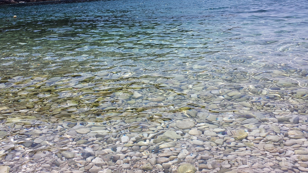 20130706_120120.jpg - La trasparenza dell'acqua.