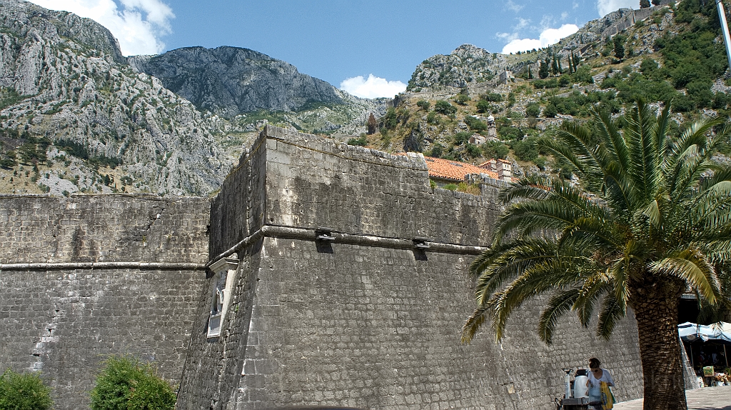 DSC00925.jpg - Kotor