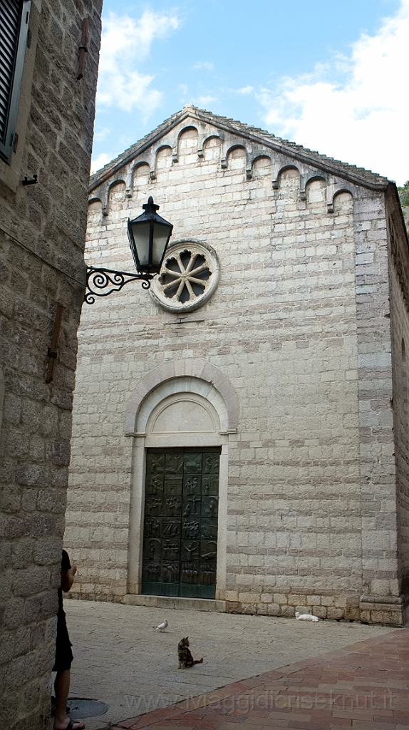 DSC00962.jpg - Kotor, chiesa con gatto.