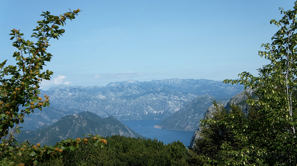 DSC01039.jpg - Nel Parco.