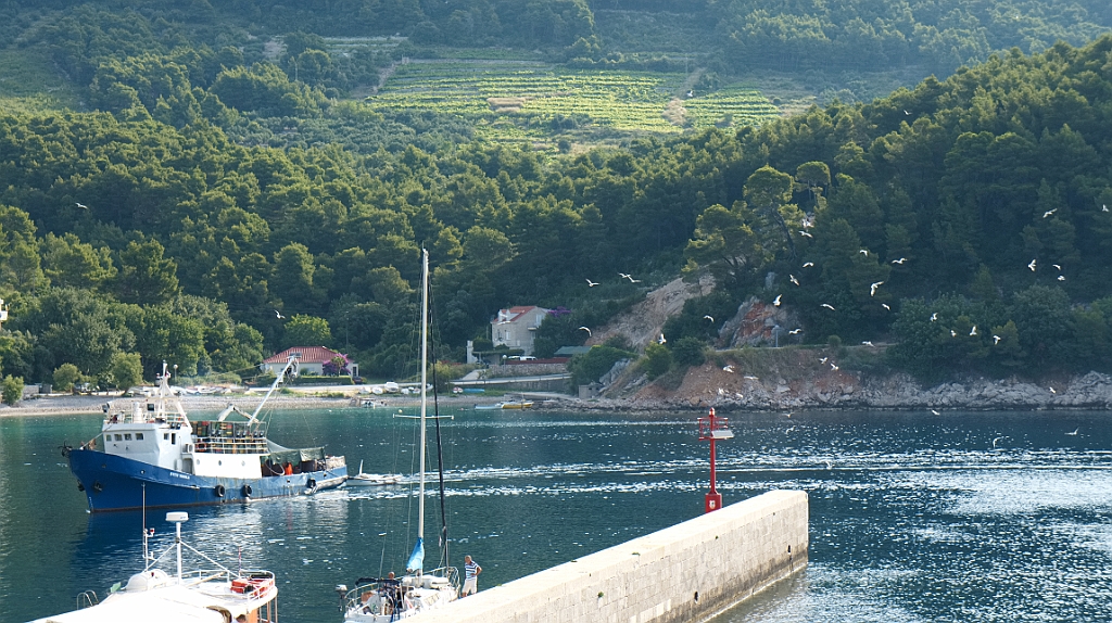 DSC01869.jpg - Un pescereccio entra nel porto.