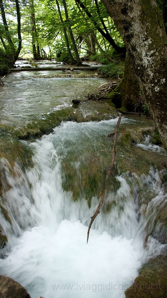 DSC02391.jpg - Croazia, Plitvice National Park.