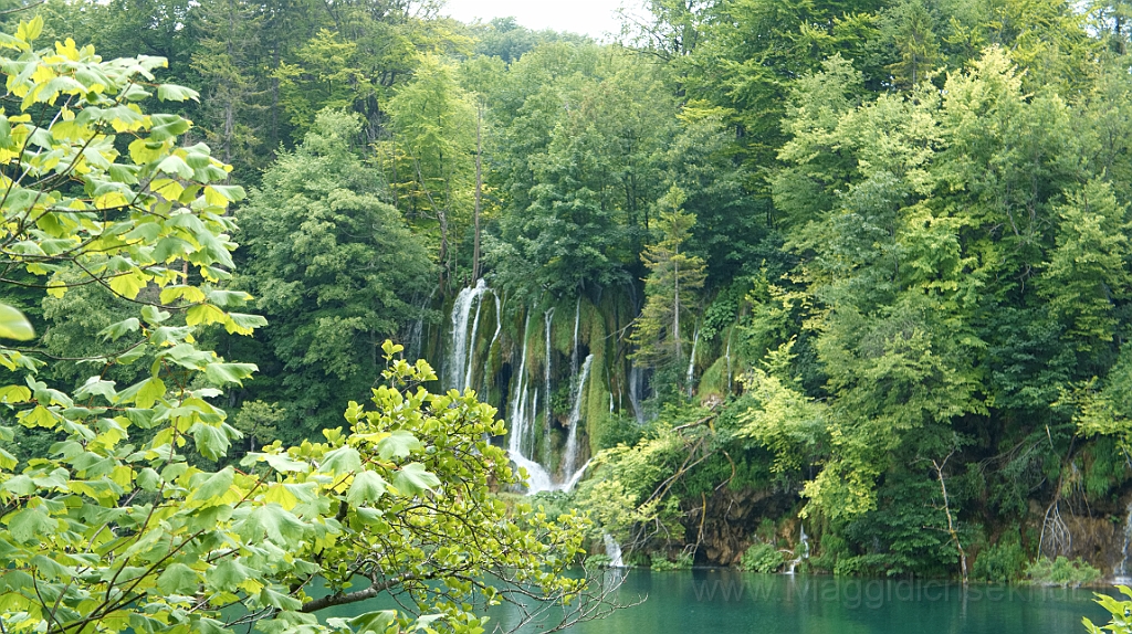 DSC02396.jpg - Croazia, Plitvice National Park.