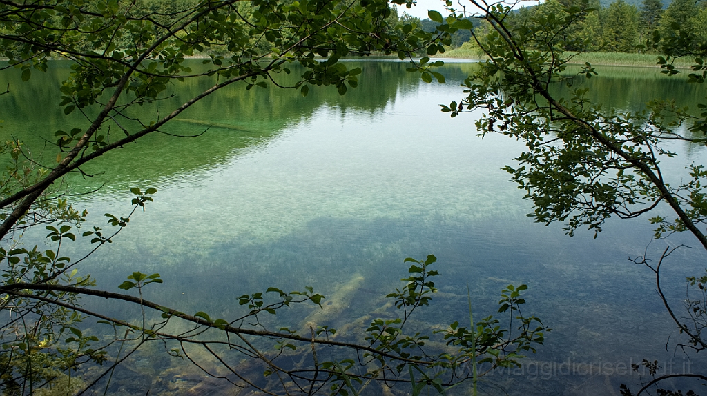 DSC02476.jpg - Croazia, Plitvice National Park.