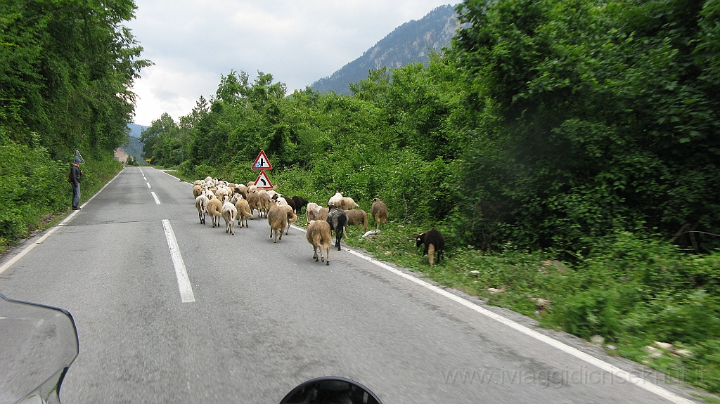 IMG_4006.JPG - Sulla strada per Zabljak.