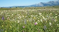 DSC01590