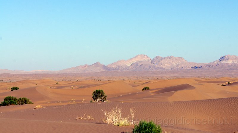 DSC04735.JPG - Dasht e Kavir, le dune del area di "Rig e Jen"