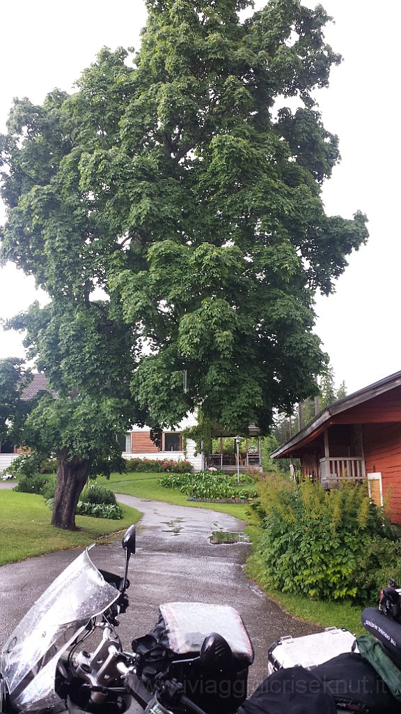 20150724_165511.jpg - 