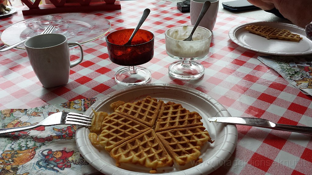 20150727_144039.jpg - Pranzo a base di waffel.