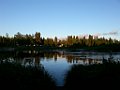 20150725_220246