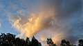 DSC03580