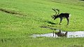 IMG_3520
