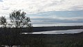 20150731_081112