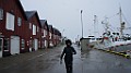 DSC03584