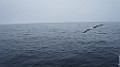 DSC03619