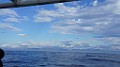 DSC03655