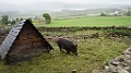 DSC03676