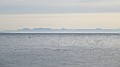 IMG_3944