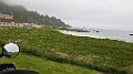 IMG_4013
