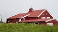 IMG_4040