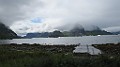 IMG_4153