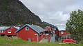 IMG_4210