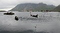 IMG_4241