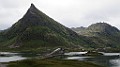 IMG_4325
