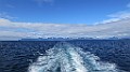 IMG_4366