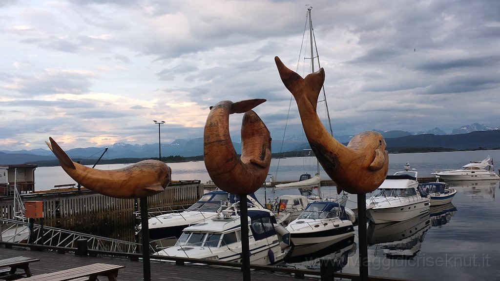 20150806_213354.jpg - Molde. Il porto.