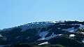 IMG_4500
