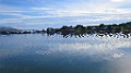 IMG_4628