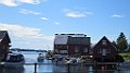 IMG_4709