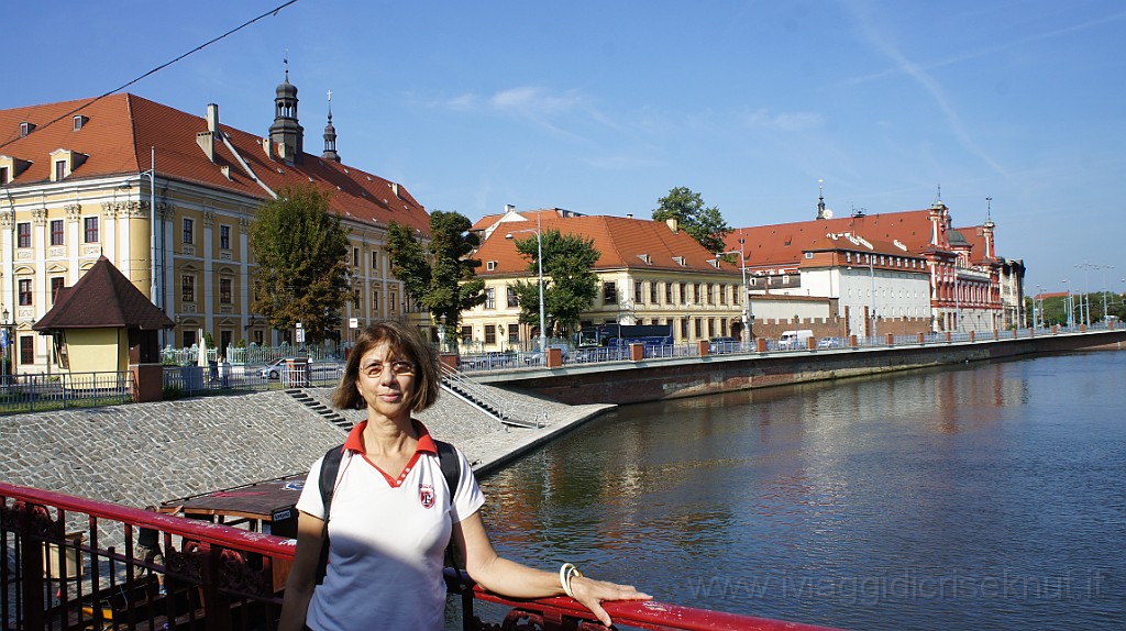 DSC05043.JPG - Il fiume Oder.