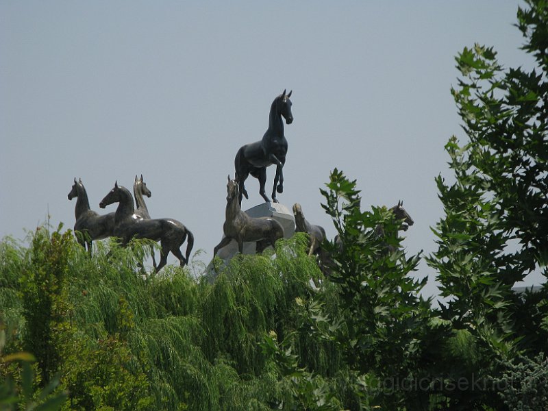IMG_2535.JPG - I cavalli, simbolo di Turkmenistan