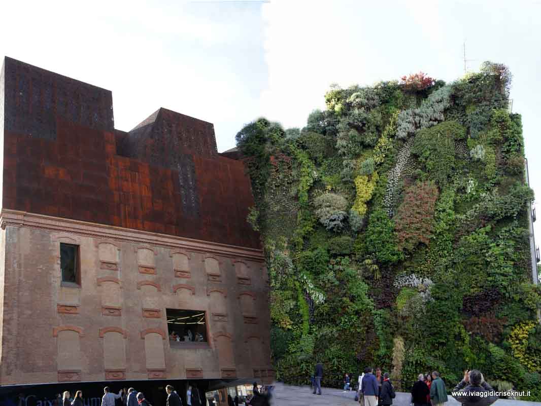 Giardini verticali
