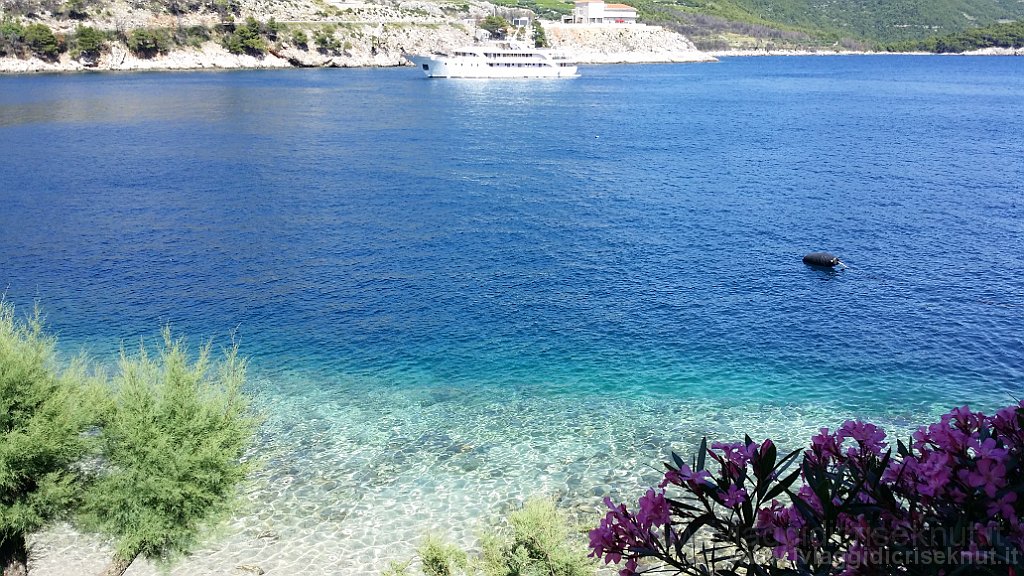 20160629_153316.jpg - Trstenik. Vista dal balcone della camera.