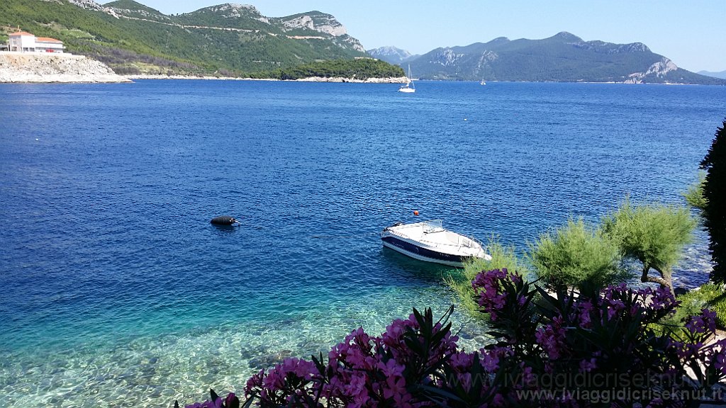 20160629_153325.jpg - Trstenik. Vista dal balcone della camera.