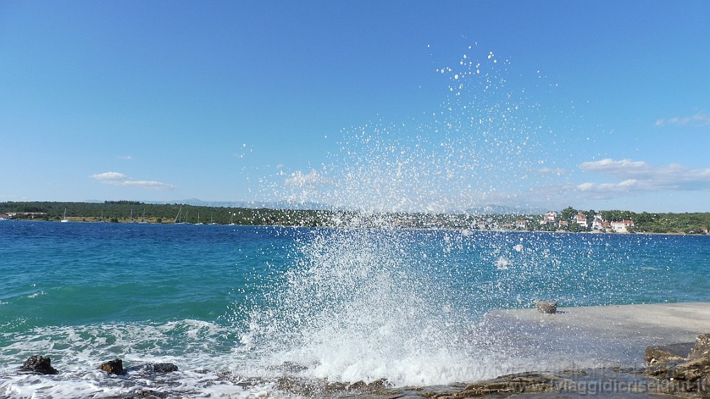 P1030100.JPG