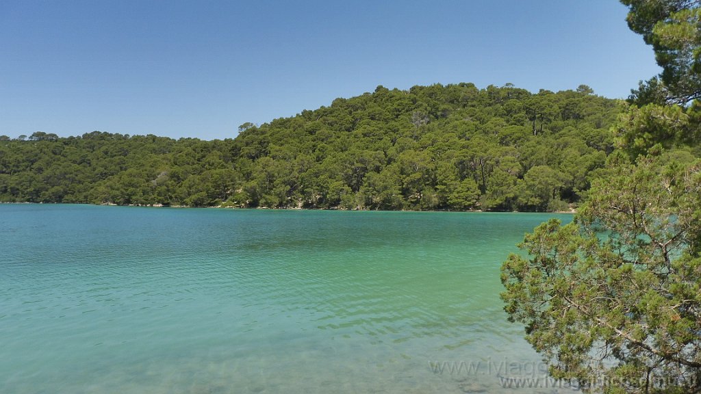 P1030164.JPG - Mljet: parco Nazionale