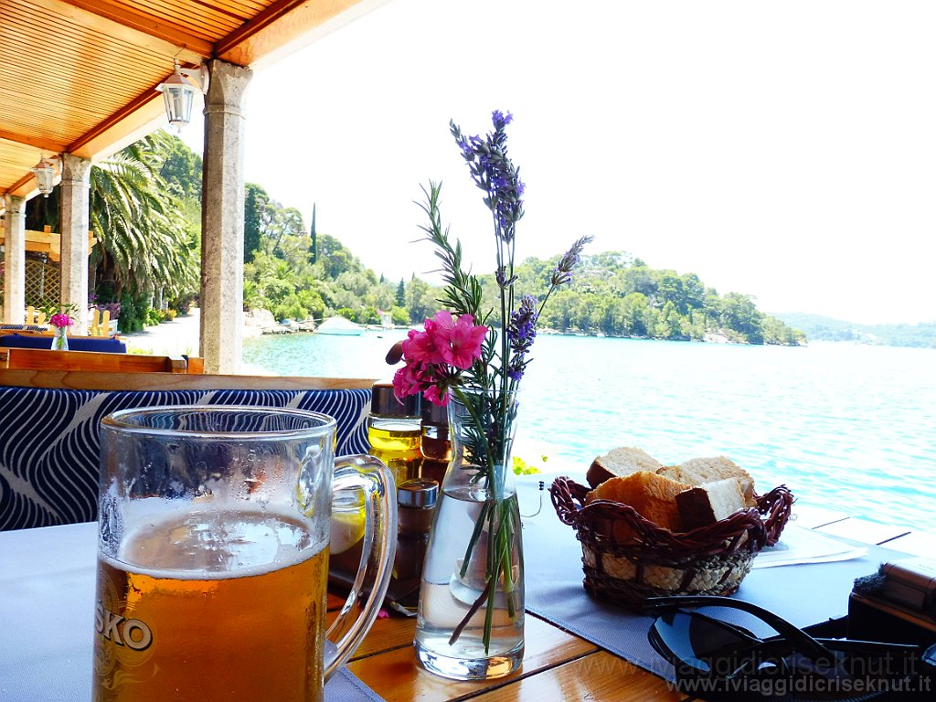 P1030166.JPG