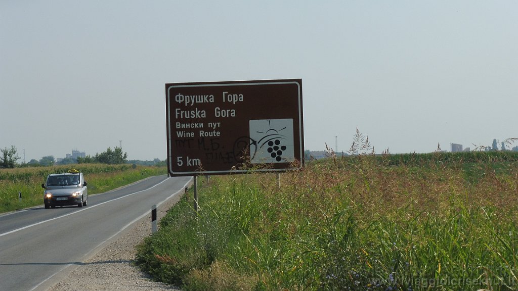 P1030390.JPG - Verso Novisad.Fruska Gora.