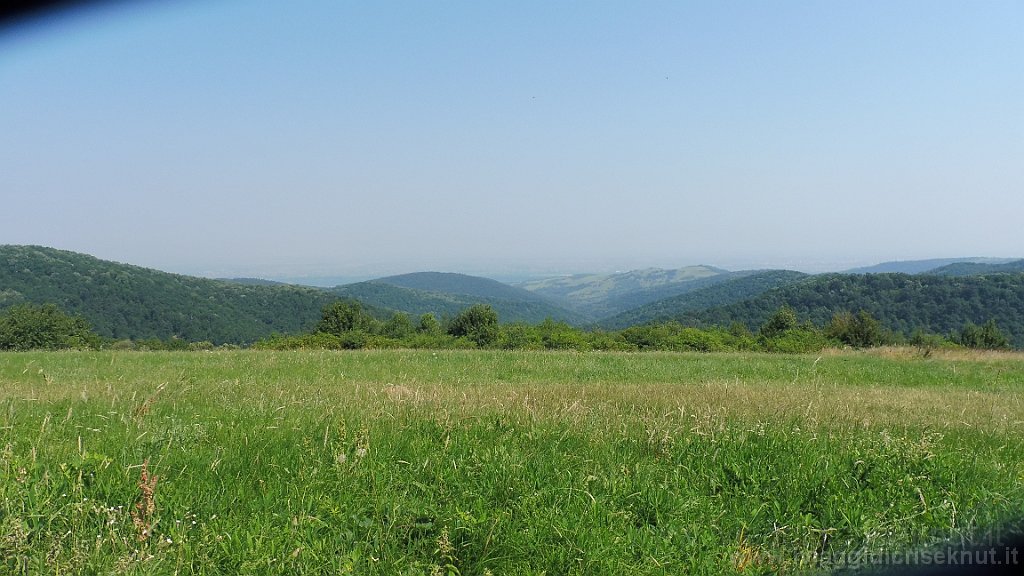 P1030412.JPG