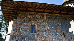 DSC04781