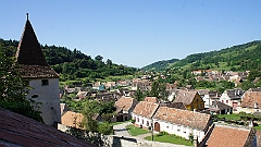 DSC04813