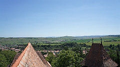 DSC04826