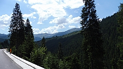 P1020552
