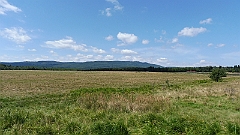 P1020589