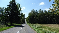 P1020590